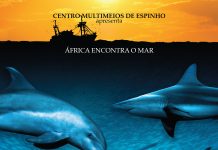 Cinema > Oceano Selvagem: A Fuga das Sardinhas